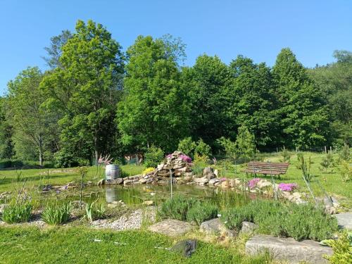 a park with a bench and a pond and flowers at Noclegi i sauna w starym domu in Pławnica