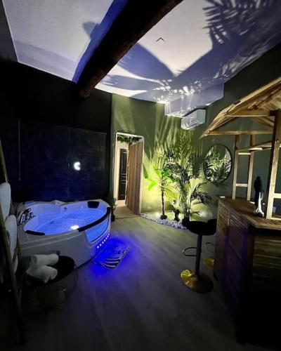 une salle de bain avec baignoire dans une chambre dans l'établissement la savane room, à Montagnac