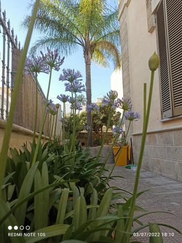 un jardín con palmeras y plantas frente a un edificio en Villa Confalonieri, en Tricase