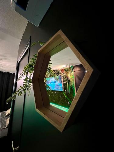 un miroir suspendu à un mur avec une plante dans l'établissement L’Eden, appartement privatif avec balneo, à Montagnac