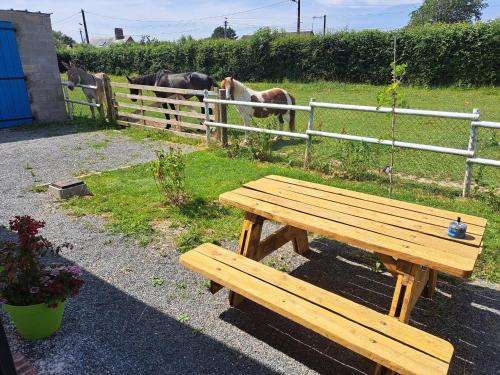 a wooden bench sitting next to a fence with horses in a field at Les suites d'Élise - Suite Élise in Grumesnil
