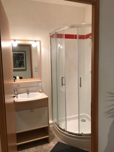 a bathroom with a shower and a sink at Plein centre de Lyon ! Chic et pratique! in Lyon