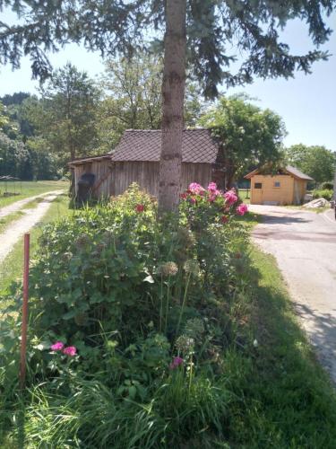 a flower garden around a tree in front of a building at Sobe Zeleni raj in Podnart