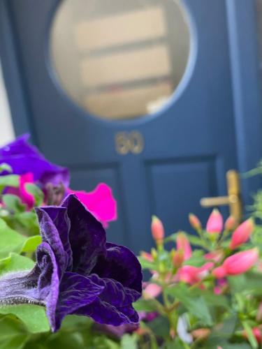 a purple flower in front of a blue door at Beach Close Lodge in Kinsale