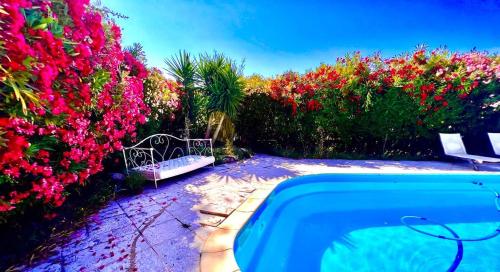una piscina accanto a dei fiori rosa di L'île Verte a La Ciotat