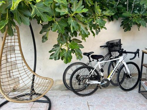 una bicicletta parcheggiata accanto a un muro con un cesto di L'île Verte a La Ciotat