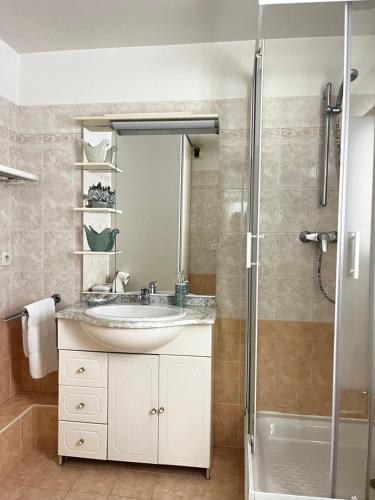 une salle de bain avec un lavabo et une douche dans l'établissement Cannes en plein cœur, à Cannes