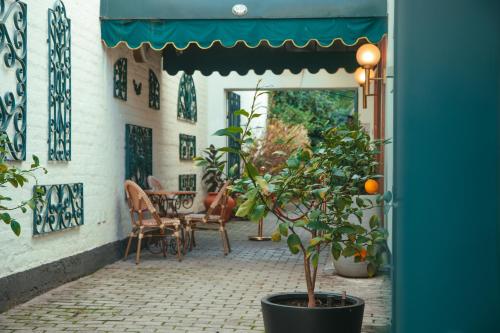 Hotel Marcos Gamero في تالكا: فناء به نباتات الفخار وطاولة وكراسي
