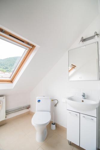 a white bathroom with a toilet and a sink at Transylvania Guest House in Braşov