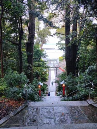 a path in the middle of a forest of trees at FUKUOKA FUKUTSU MUNAKATA YUSUKE HOUSE in Kōnominato