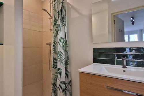 een badkamer met een douche, een wastafel en een spiegel bij Appartement en bord de mer 2 in Banyuls-sur-Mer