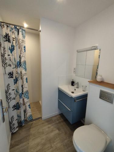 une salle de bain avec toilettes, lavabo et douche dans l'établissement Appartement indépendant avec terrasse à 200m de la plage, à Canet