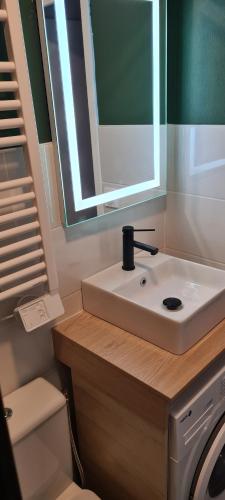 une salle de bain avec un lavabo et un miroir et des toilettes dans l'établissement Joli studio vue Mont Saint Clair, parking, ménage et linge de lit inclus, à Sète