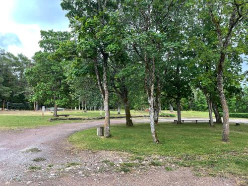 a park with trees and a dirt road at Võhma Külamaja in Võhma