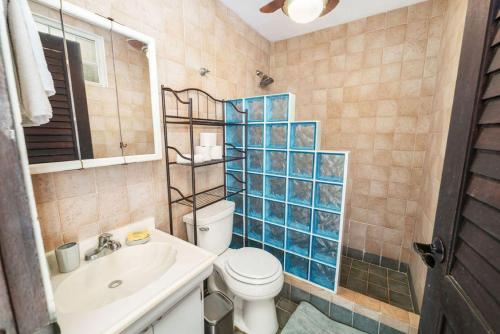 een badkamer met een toilet, een wastafel en een spiegel bij Puntas Rincon Villa 301 with private rooftop terrace in Rincon
