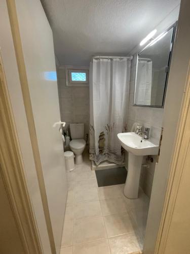 a bathroom with a sink and a toilet and a mirror at Evi's apartment Pefkochori in Pefkochori