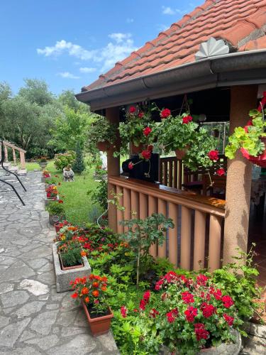 Fotografie z fotogalerie ubytování Apartmani "Dukic" v destinaci Pelinovo