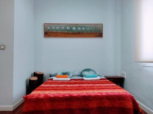 グラナダにあるDarío Granadaのベッドルーム1室(赤い毛布付きのベッド1台付)