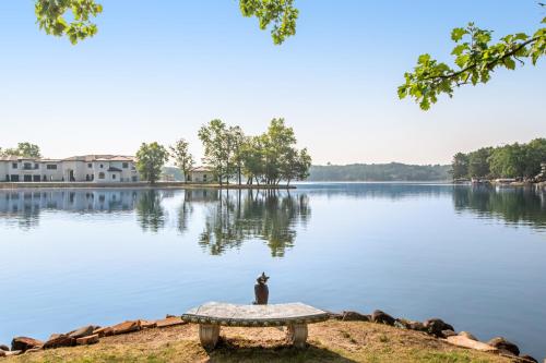 a cat sitting on a bench in front of a lake at Thunderbird Resort Condo in Wisconsin Dells