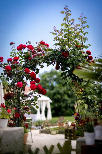 an arch with red roses in a garden at Villa Nada in Lovran