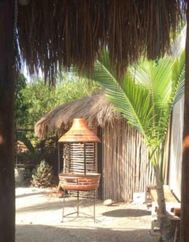 a hut with a table and a chair in front of it at Casita Sac-Nicté in Mahahual