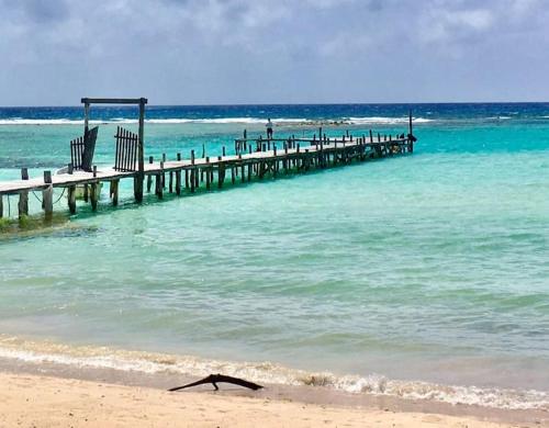 a bird laying on the beach next to a pier at Casita Sac-Nicté in Mahahual