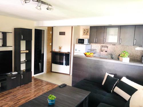 Una sala de estar con un sofá y una cocina. en Pavlovi Apartments, en Samokov
