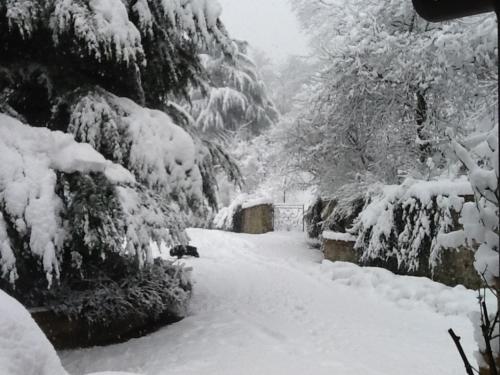 a snow covered road with trees in the background at Cascina Bricco in Ovada