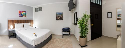 1 dormitorio con 1 cama y una maceta en GOYA HOTEL, en Jaén