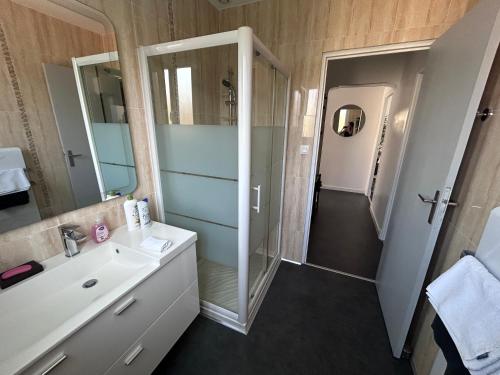 La salle de bains est pourvue d'une douche, d'un lavabo et d'un miroir. dans l'établissement Superbe appartement dans villa, à Saint-Laurent-du-Var