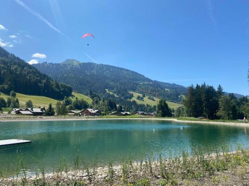 Chaleureux appartement rénové ambiance chalet