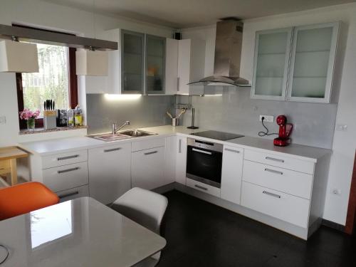 a kitchen with white cabinets and a red appliance at Hisa Haasberg in Planina