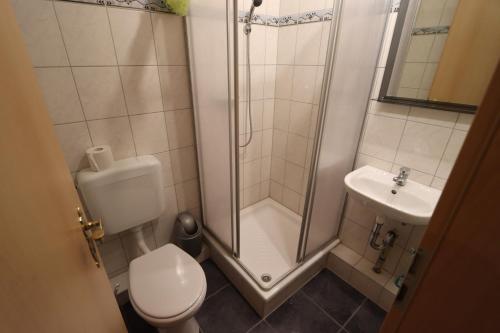 een badkamer met een douche, een toilet en een wastafel bij Villa-Pälitzsee in Rheinsberg
