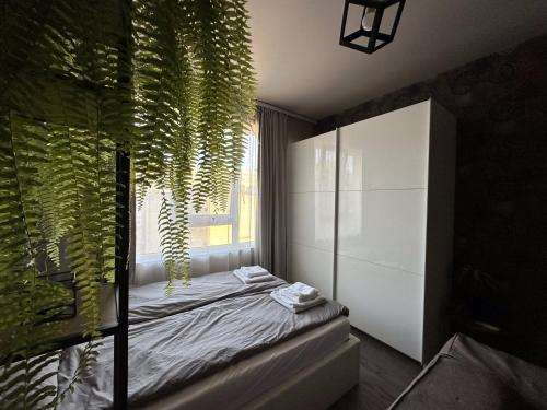 een kamer met een bed en een raam met een plant bij Студио Bella in Varna