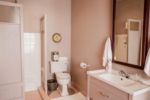 a bathroom with a toilet and a sink and a mirror at Dorp Hotel in Cape Town