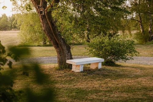 a bench sitting next to a tree in a park at Rynke gård in Ljungbyhed
