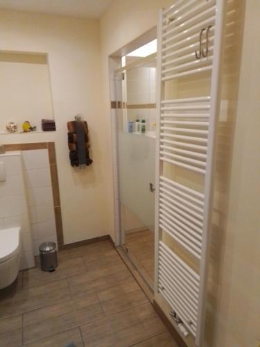 a bathroom with a shower and a toilet and a door at Am Luhestrand in Luhdorf