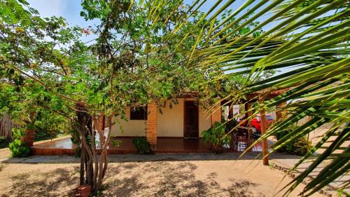 a house with a palm tree in front of it at Casa Barra Jucá - Barra Grande Piauí in Barra Grande