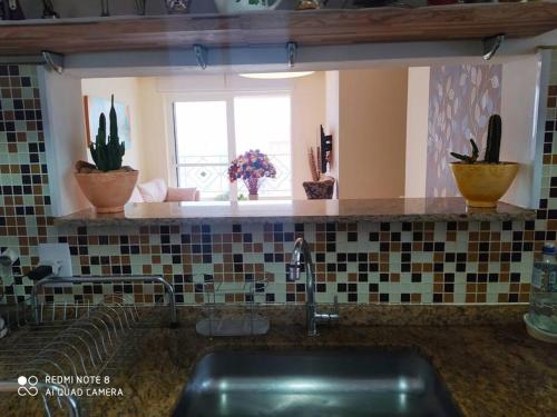 a kitchen with a sink and a window with potted plants at Apartamento moderno com 03 quartos e 02 garagens in Campinas