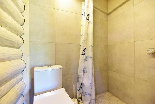 a bathroom with a toilet and a shower at Duriu sodyba in Molėtai