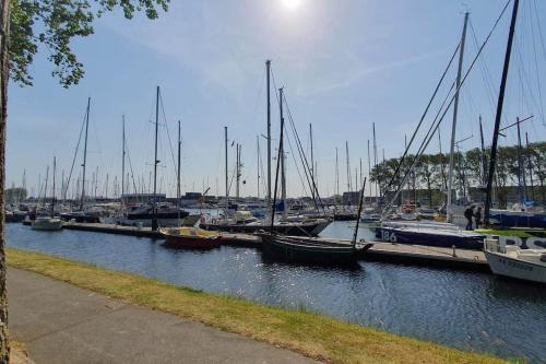 a bunch of boats docked at a marina at Voilier de charme en acajou. in Ouistreham