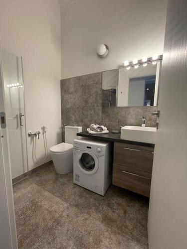 a bathroom with a toilet sink and a washing machine at casa boutique in Ivrea