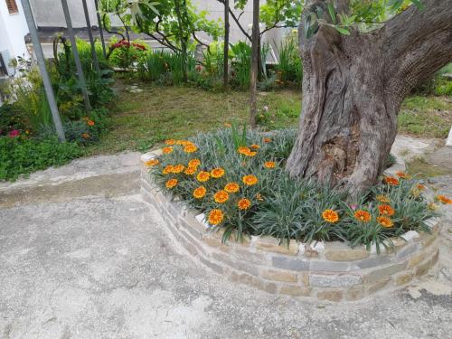 a flower bed in front of a tree at Cuore Verde del Cilento in Laureana Cilento