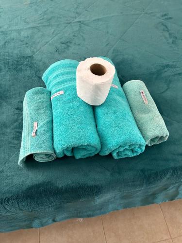 a stack of towels and a roll of toilet paper at Aires del estero 2 in Santiago del Estero