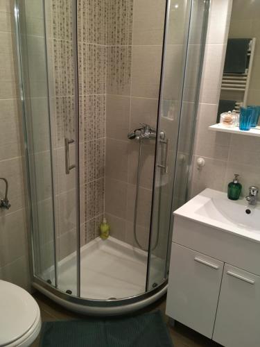 a bathroom with a shower with a toilet and a sink at Apartma BAUI Koper in Koper