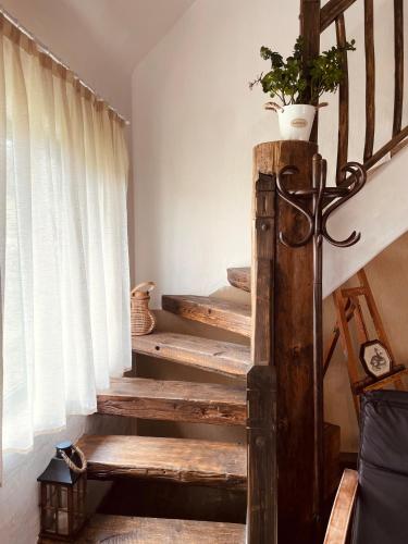 a set of stairs with a potted plant on top at Inside, The Village- Atelier in Tunari