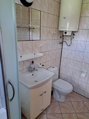 a small bathroom with a toilet and a sink at Domek letniskowy Werlas Bieszczady in Werlas