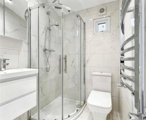 a bathroom with a shower and a toilet and a sink at Studio apartment/flat in Chislehurst