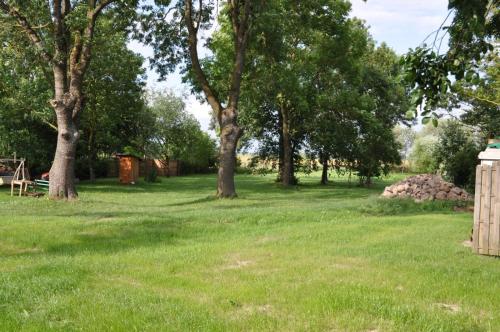 a grassy field with trees in the background at Apartment Battin 44 Uckermark in Brüssow