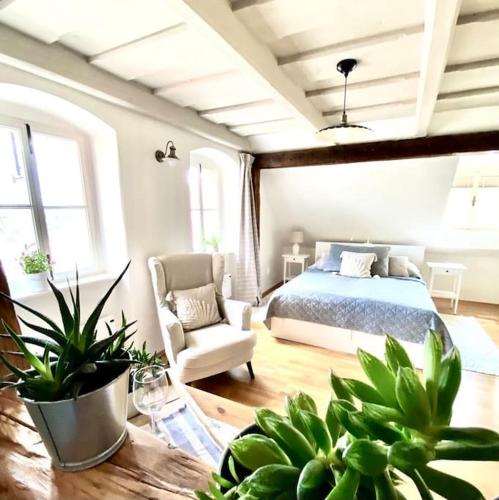 a bedroom with a bed and a chair and plants at Dobré časy - Studio I. in Banská Štiavnica